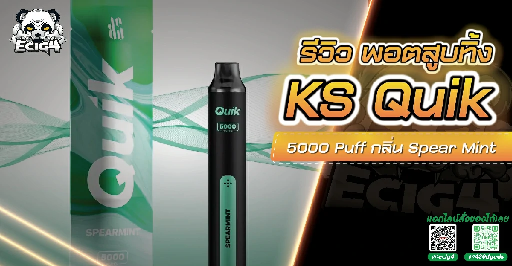 KS QUIK 5000 Puff กลิ่น Spear Mint